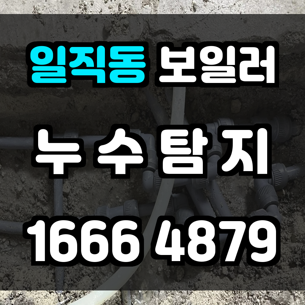 일직동 보일러 누수탐지 안전하고 정확한 진단으로 확실한 예방