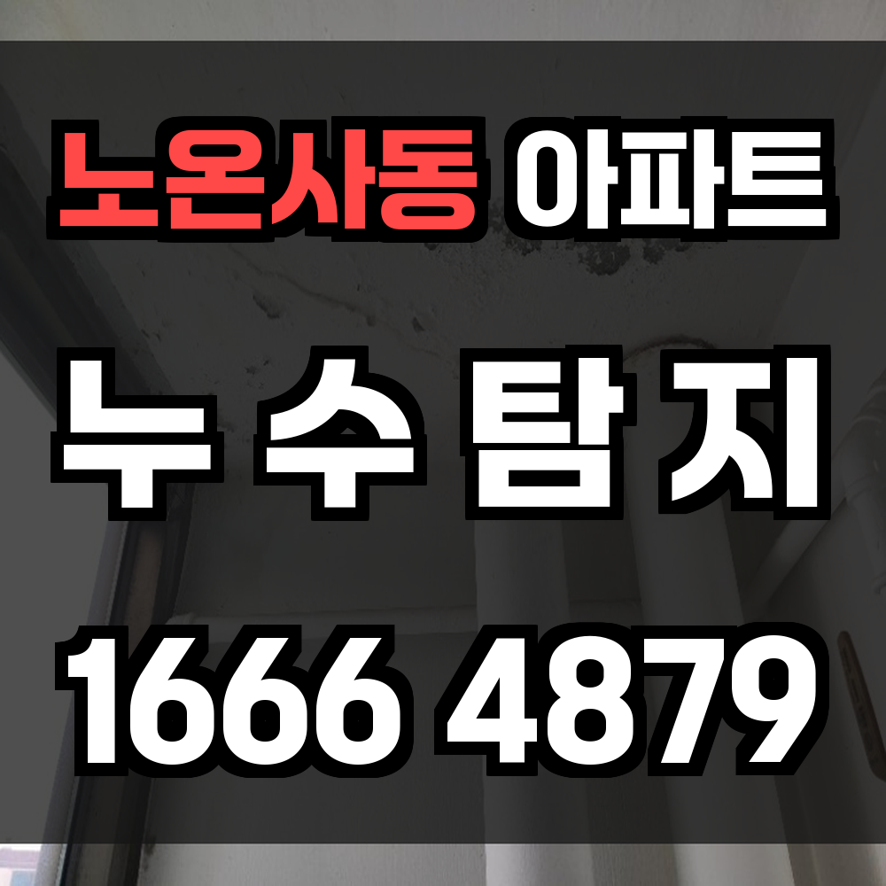 노온사동 아파트 누수탐지 주거공간을 지키는 정확한 진단