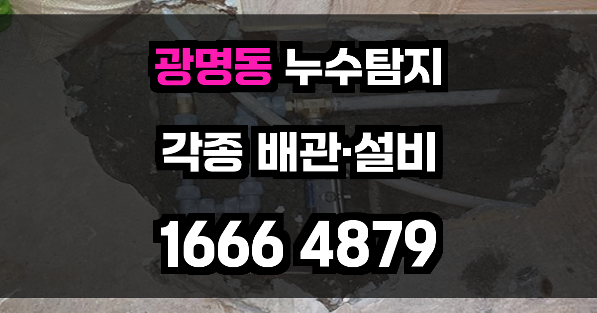 광명동 누수탐지