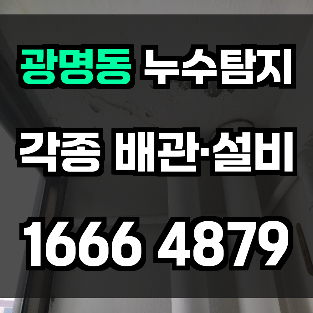 광명동 누수탐지