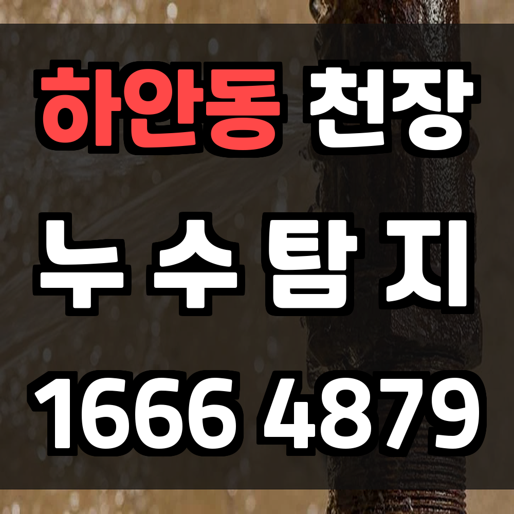 하안동 천장 누수