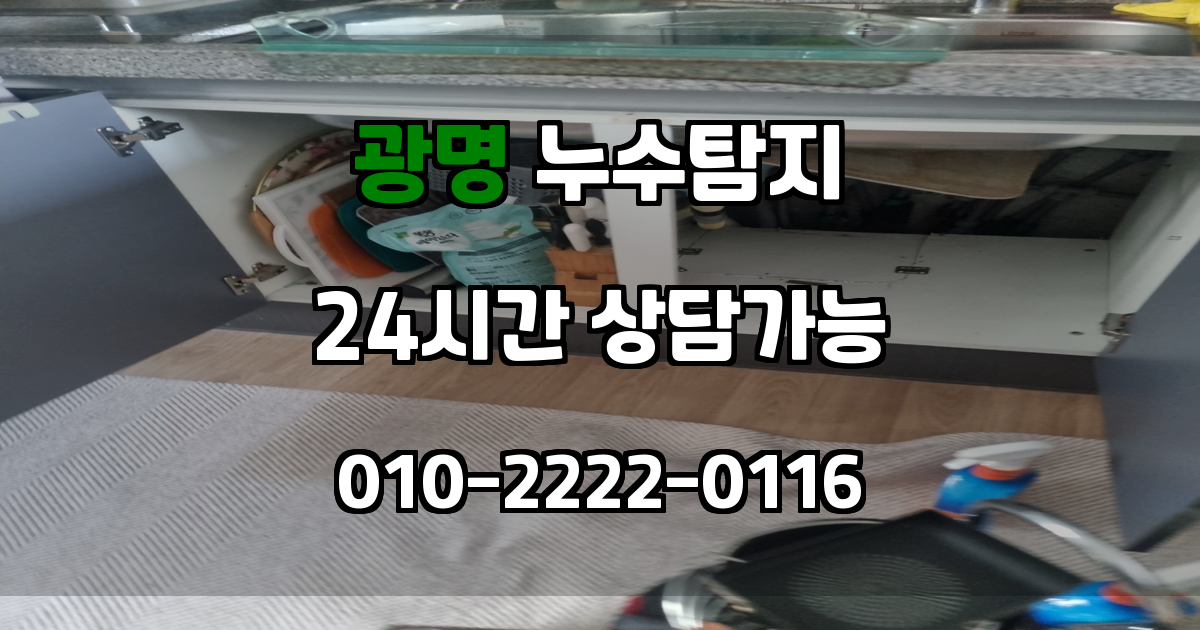 광명 누수탐지 서비스 지역