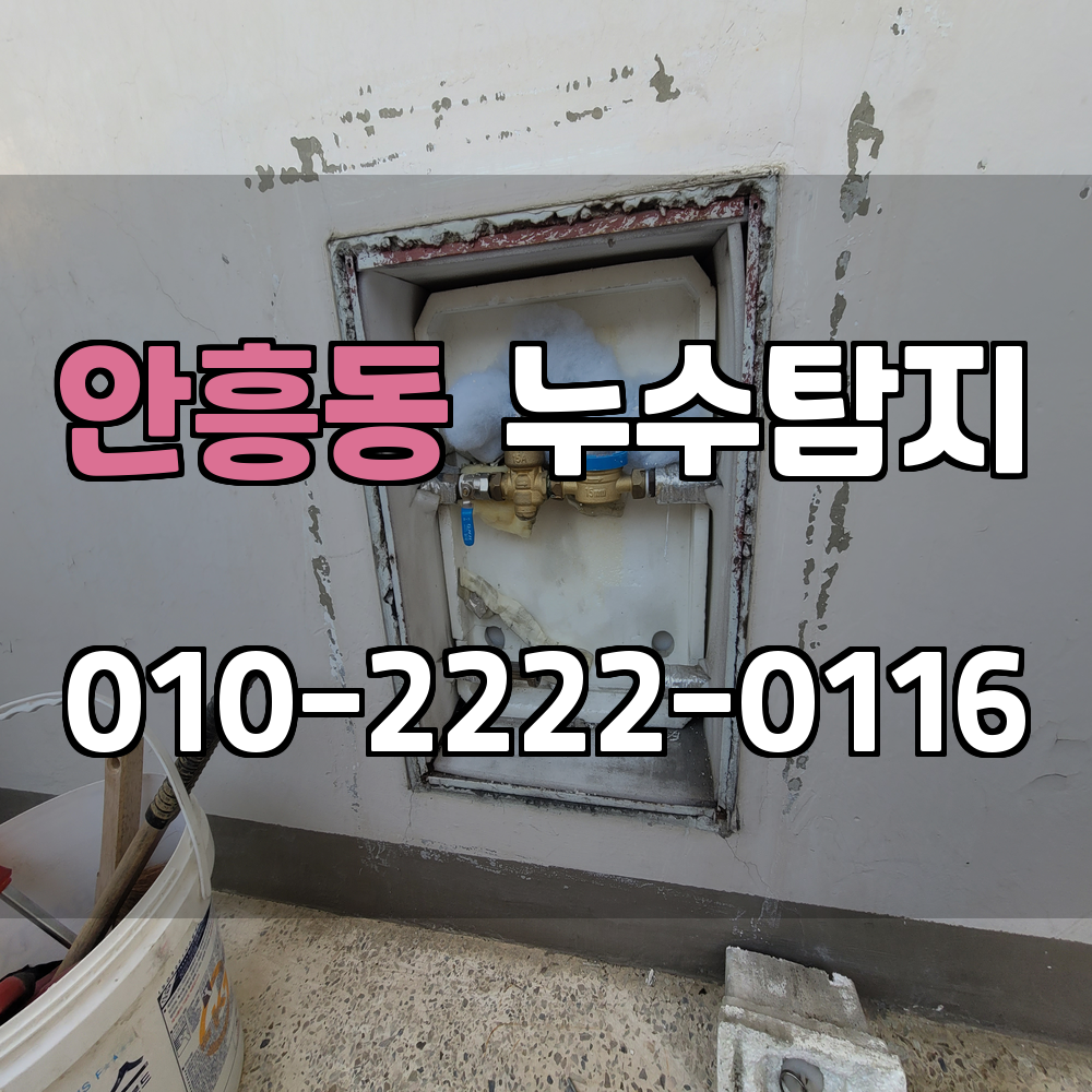 안흥동 누수탐지 서비스 지역