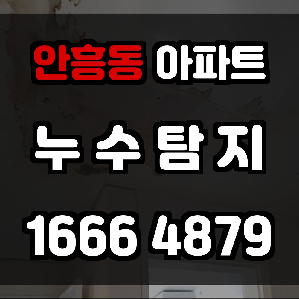 안흥동 아파트 누수탐지 정밀 진단으로 실내 누수 원인을 빠르게 파악합니다