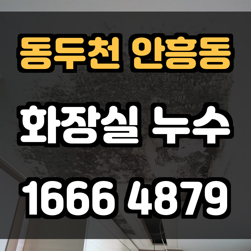 동두천 안흥동 화장실 누수탐지 정확한 진단으로 생활 속 피해를 줄입니다