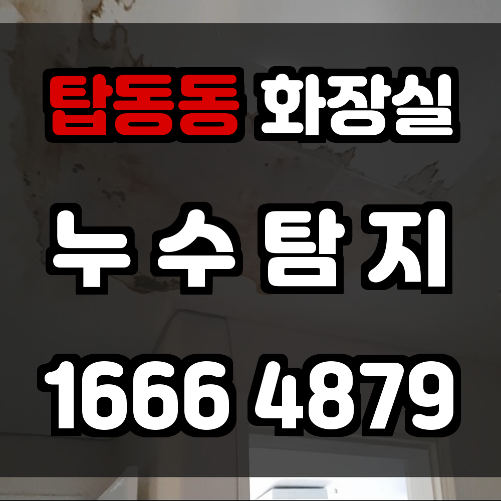 탑동동 화장실 누수탐지 손상 없는 진단으로 조기 문제 해결
