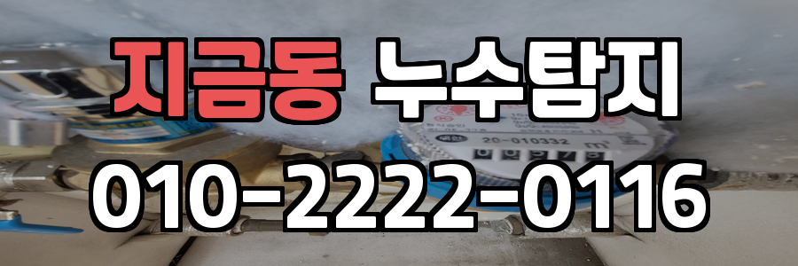 지금동 누수탐지 비용