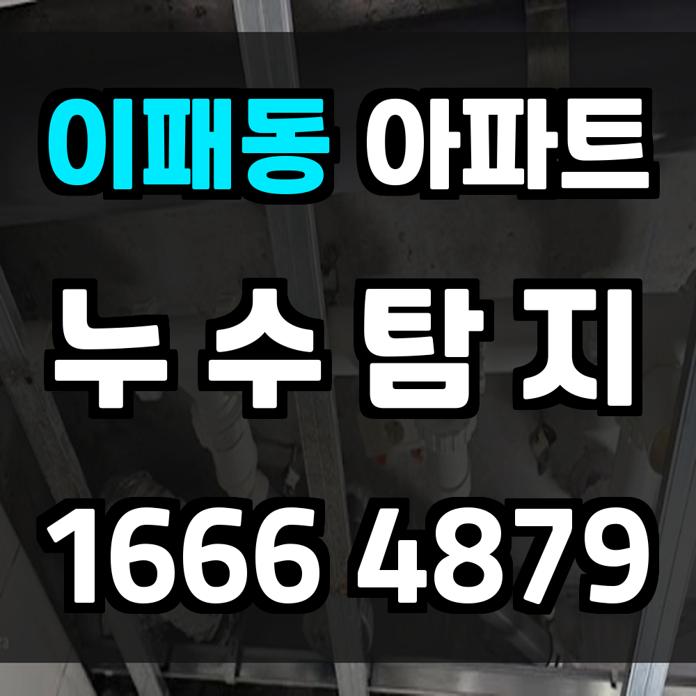 이패동 아파트 누수탐지 데이터 교차로 해체 최소화
