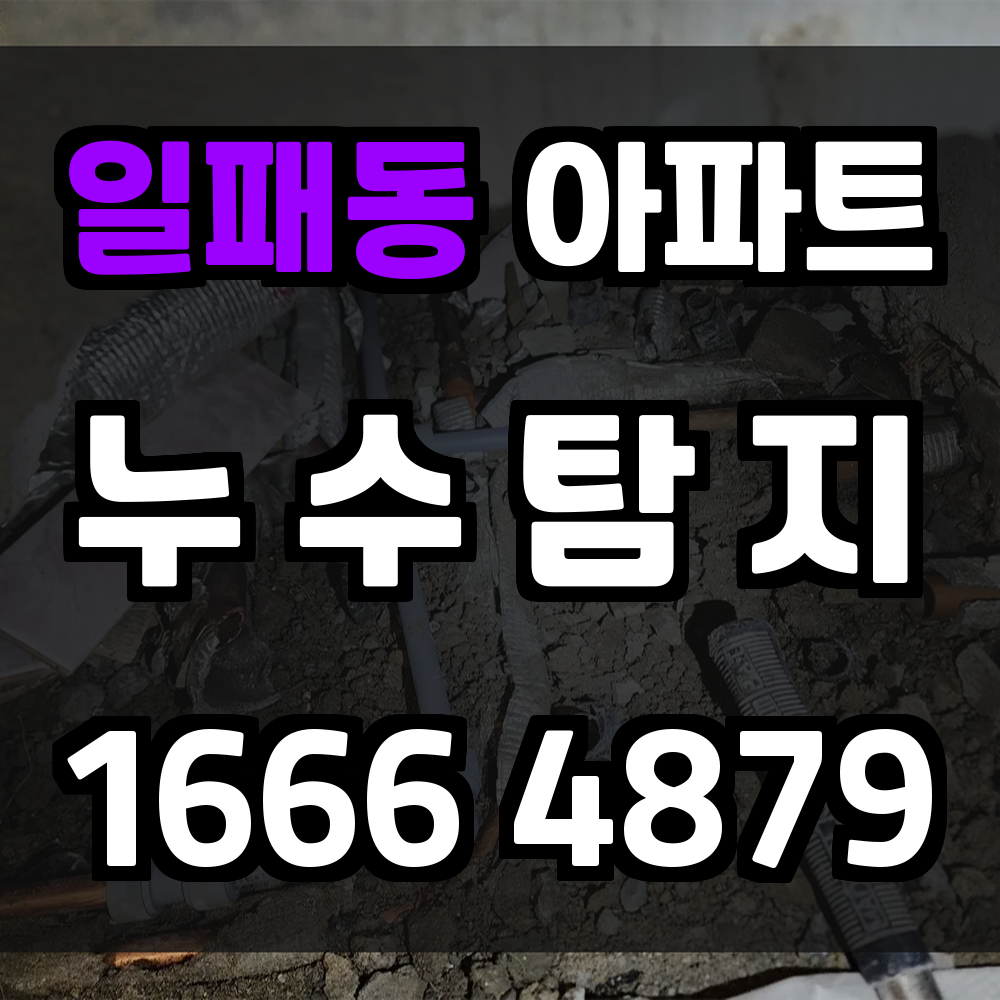 일패동 아파트 누수탐지 신속 특정과 생활 동선 보호