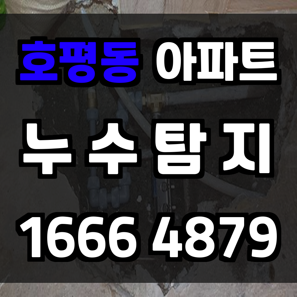 호평동 아파트 누수탐지 교차 계측과 표준 리포트 절차