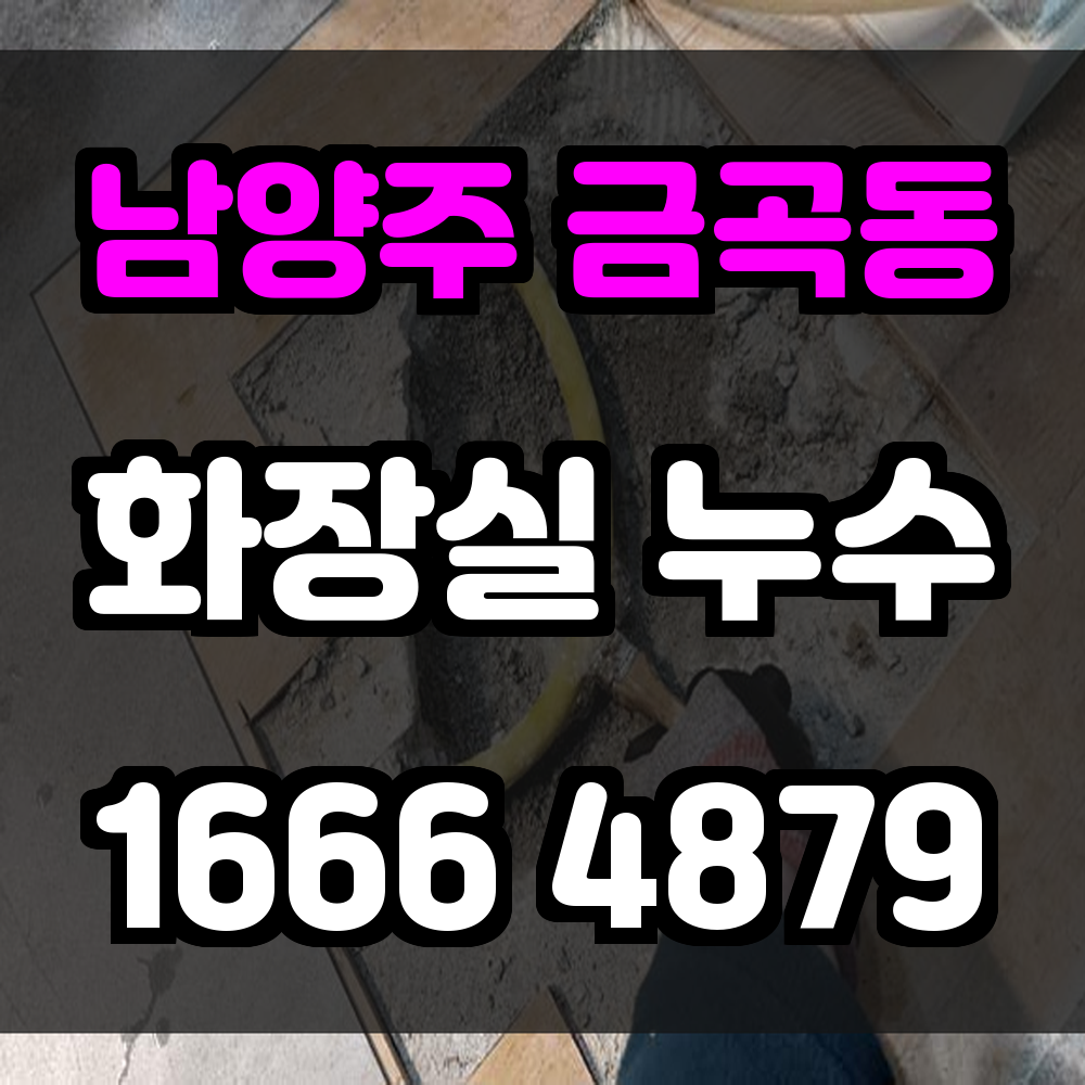 남양주 금곡동 화장실 누수