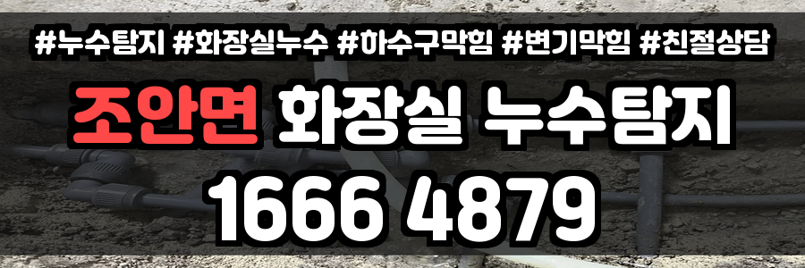 조안면 화장실 누수