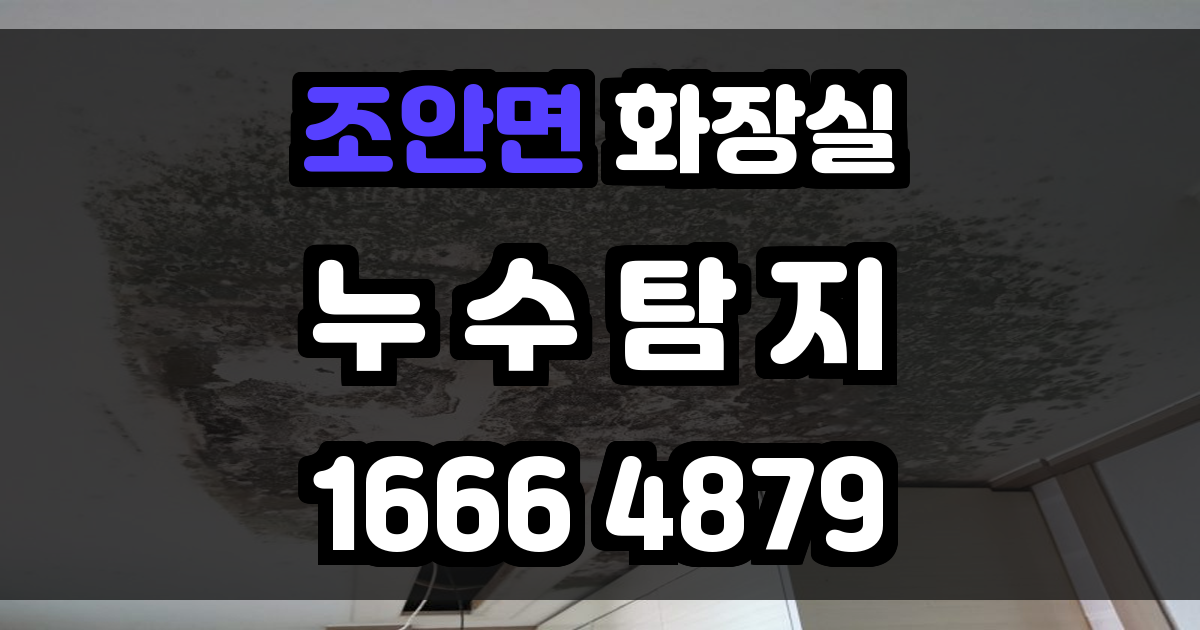 조안면 화장실 누수