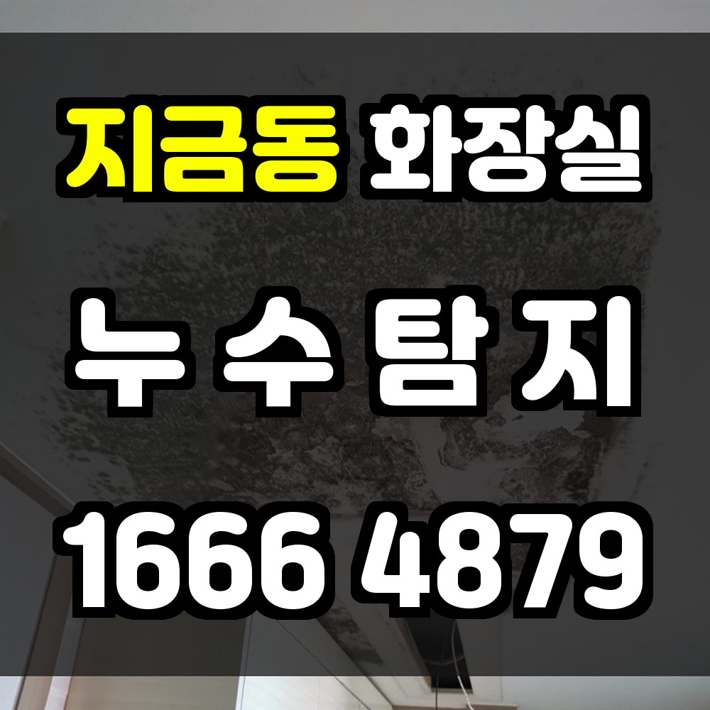 지금동 화장실 누수탐지 신속한 대응과 정밀 진단으로 누수 걱정 해결