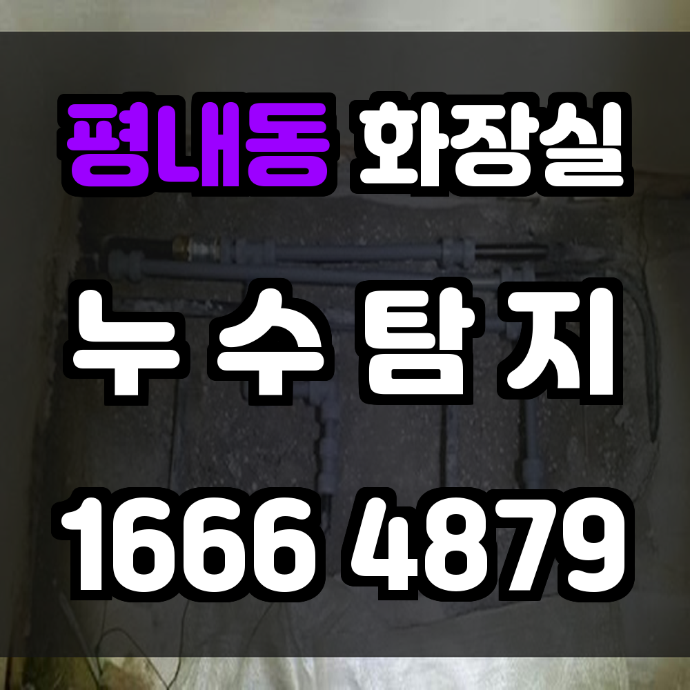 평내동 화장실 누수탐지 전문가의 정밀 진단으로 손실을 미리 차단하세요