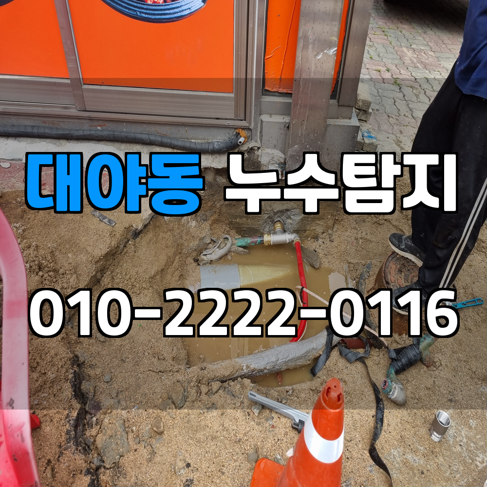 대야동 누수탐지 서비스 지역