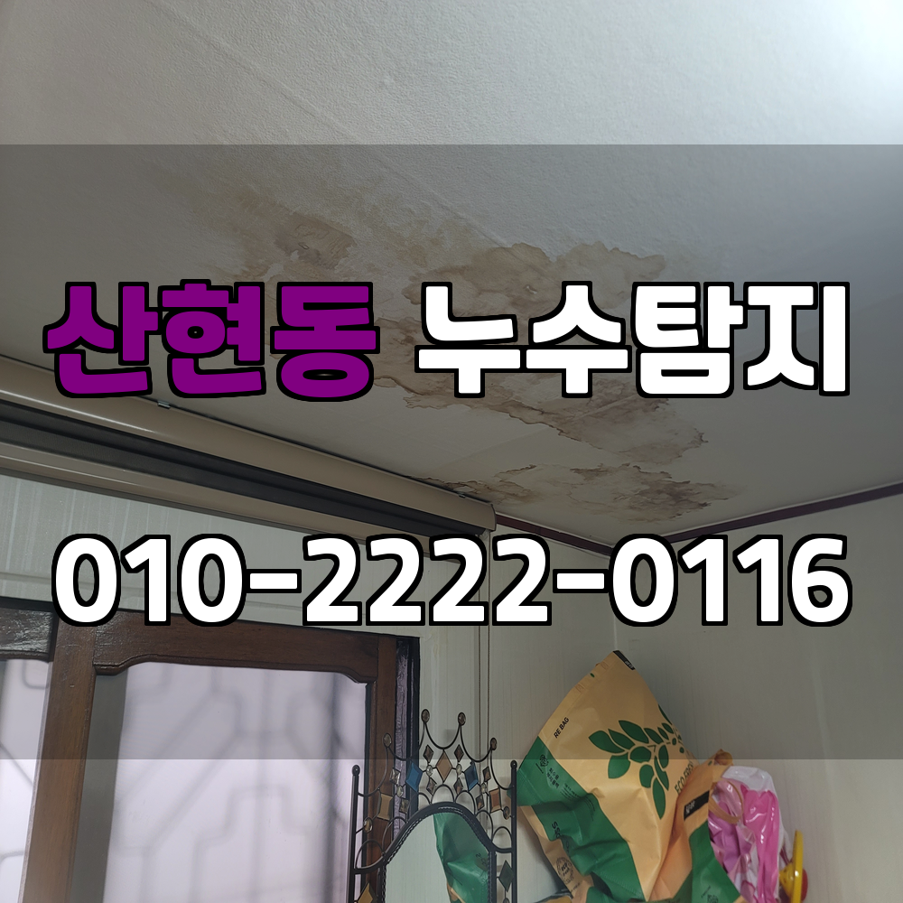 산현동 누수탐지 서비스 지역