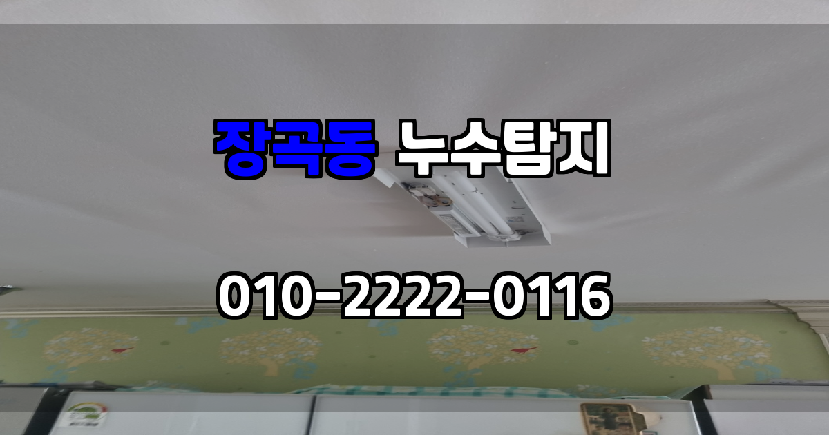 장곡동 누수탐지