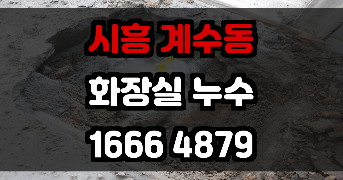 시흥 계수동 화장실 누수