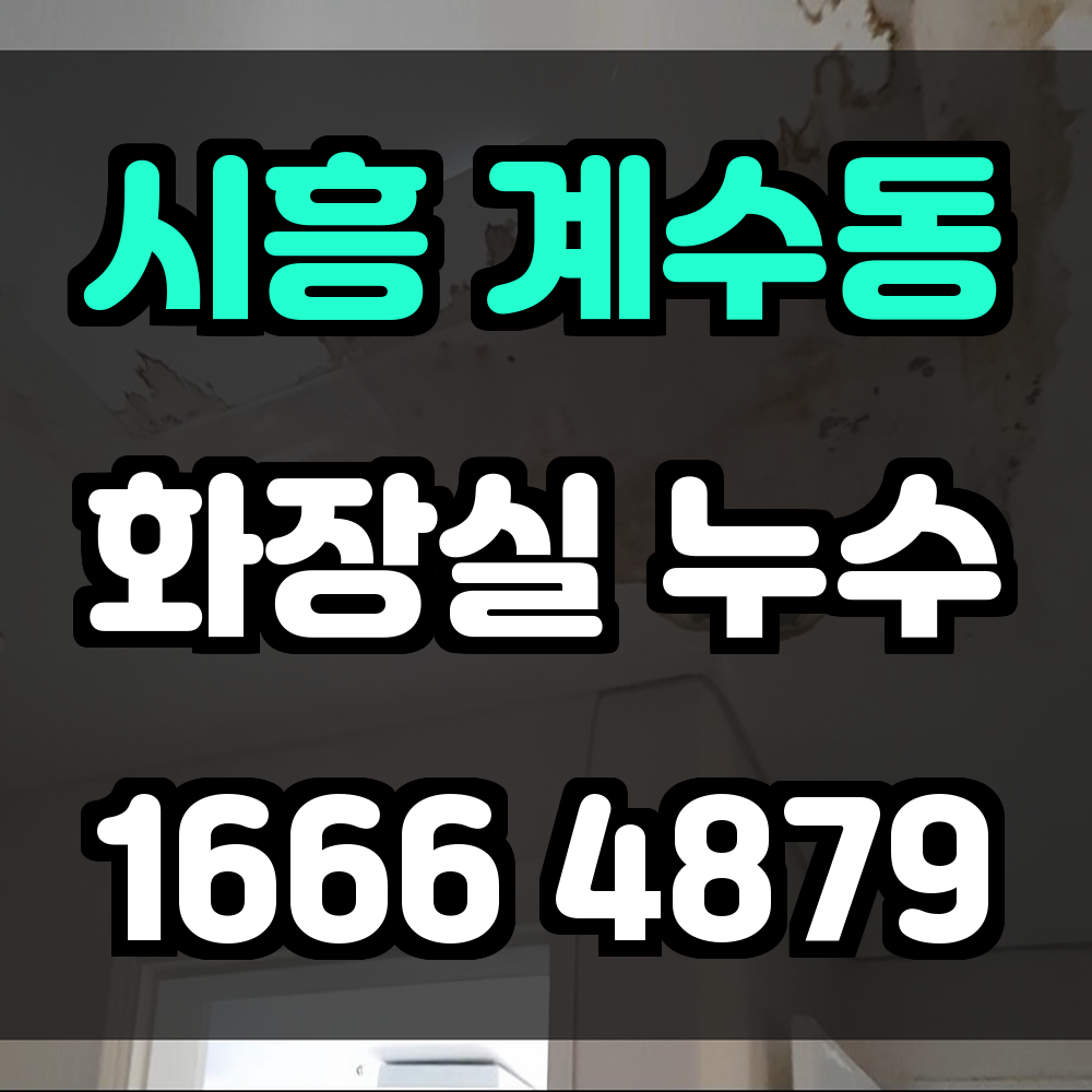 시흥 계수동 화장실 누수