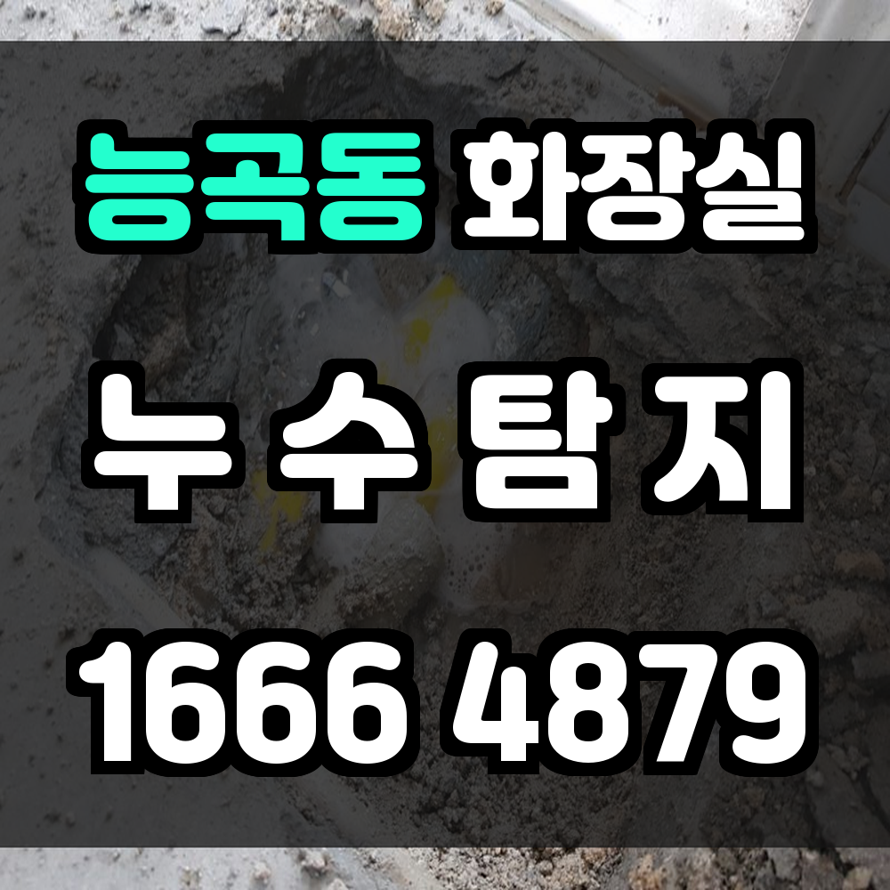 능곡동 화장실 누수