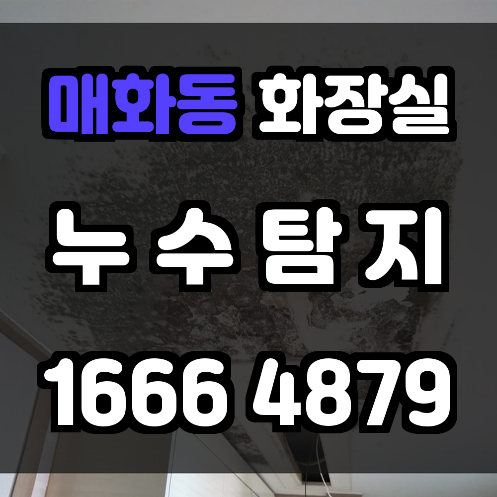 매화동 화장실 누수