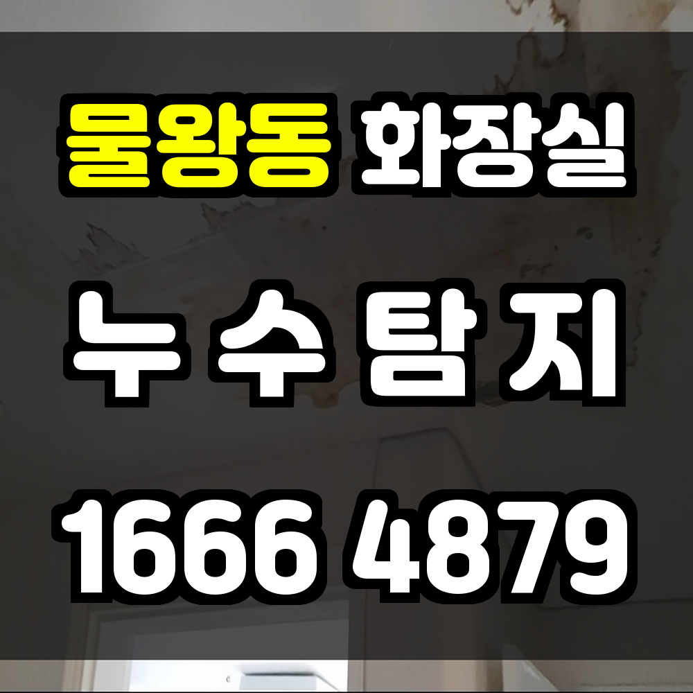 물왕동 화장실 누수