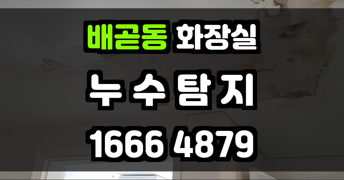 배곧동 화장실 누수