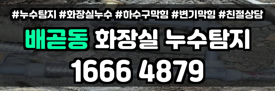 배곧동 화장실 누수