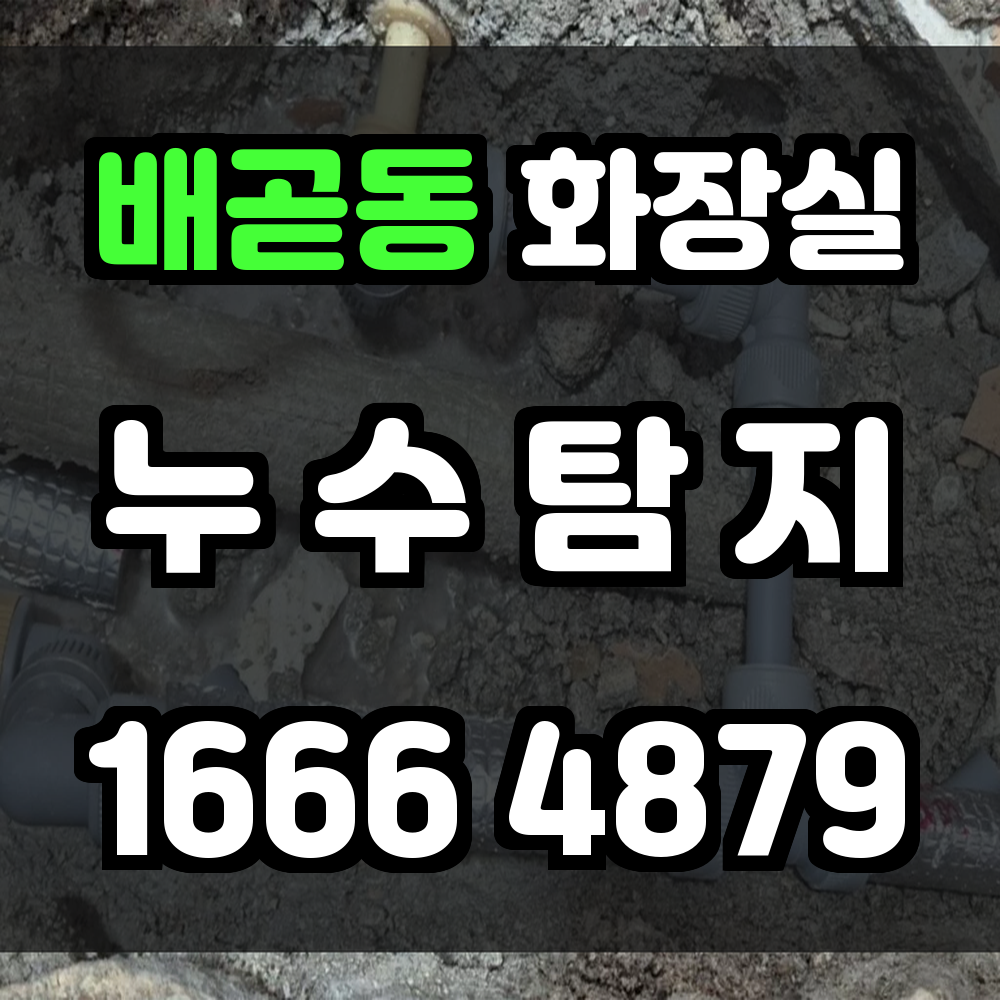 배곧동 화장실 누수탐지 곰팡이 없는 욕실을 위한 필수 진단