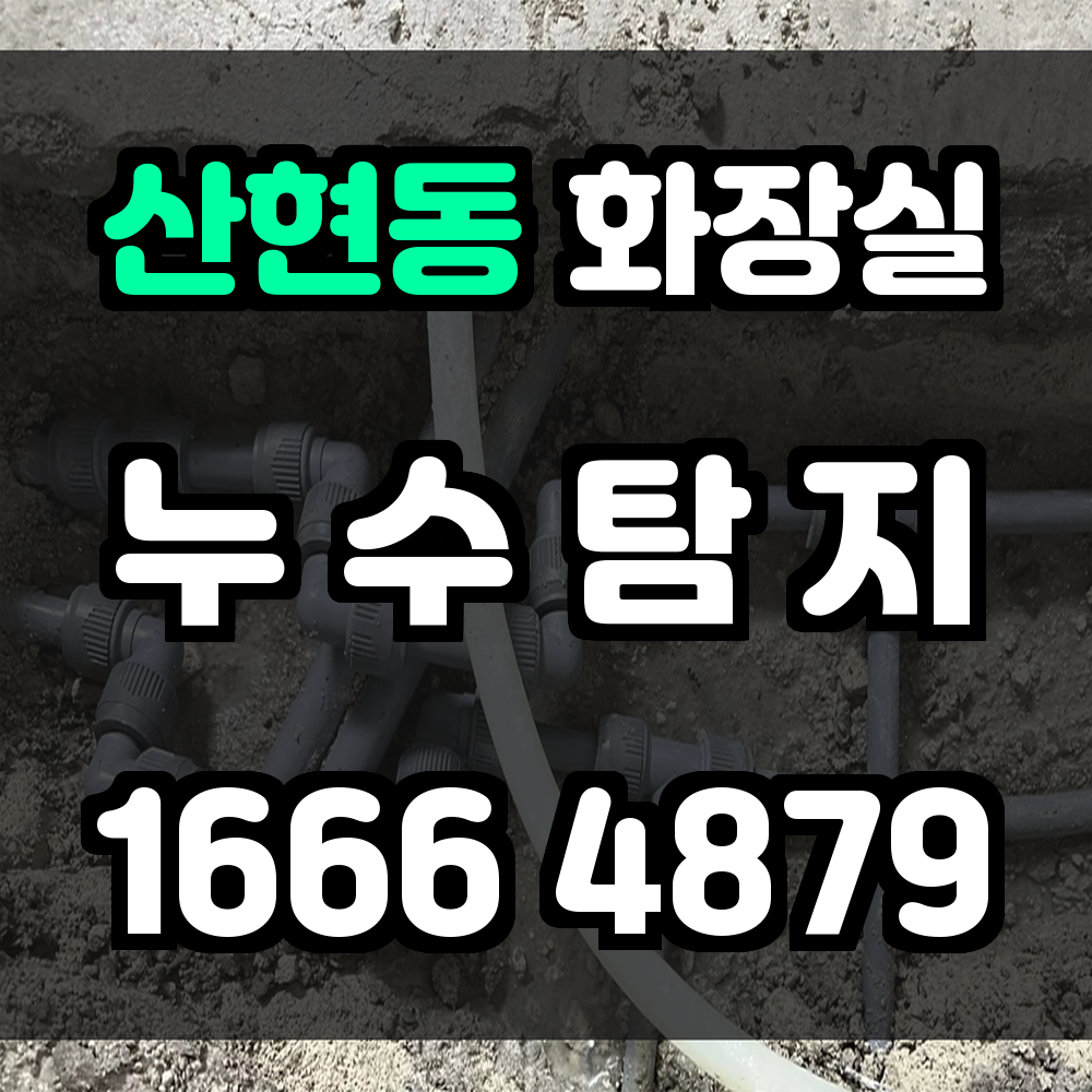 산현동 화장실 누수탐지 정확한 진단으로 깔끔한 욕실 복원