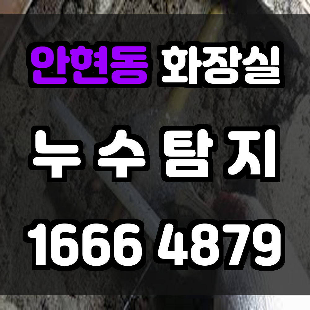 안현동 화장실 누수탐지 곰팡이 없이 쾌적한 욕실을 위한 정확한 진단