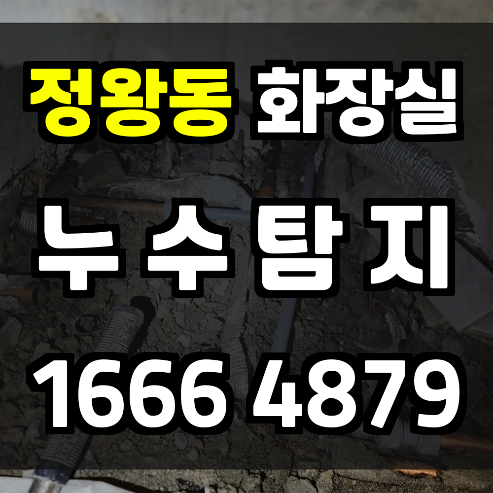 정왕동 화장실 누수탐지 빠르고 안전하게 해결하세요
