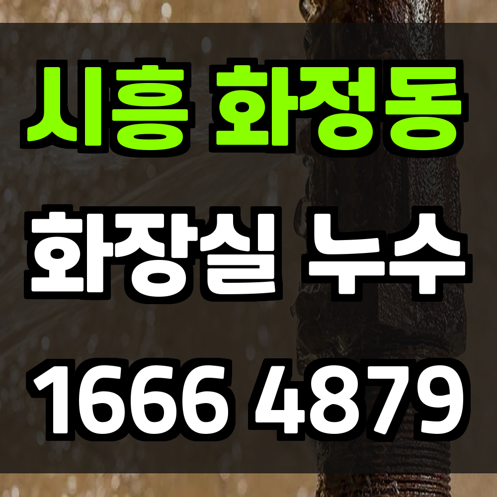 시흥 화정동 화장실 누수탐지 철거 없이 신속하게 원인 해결