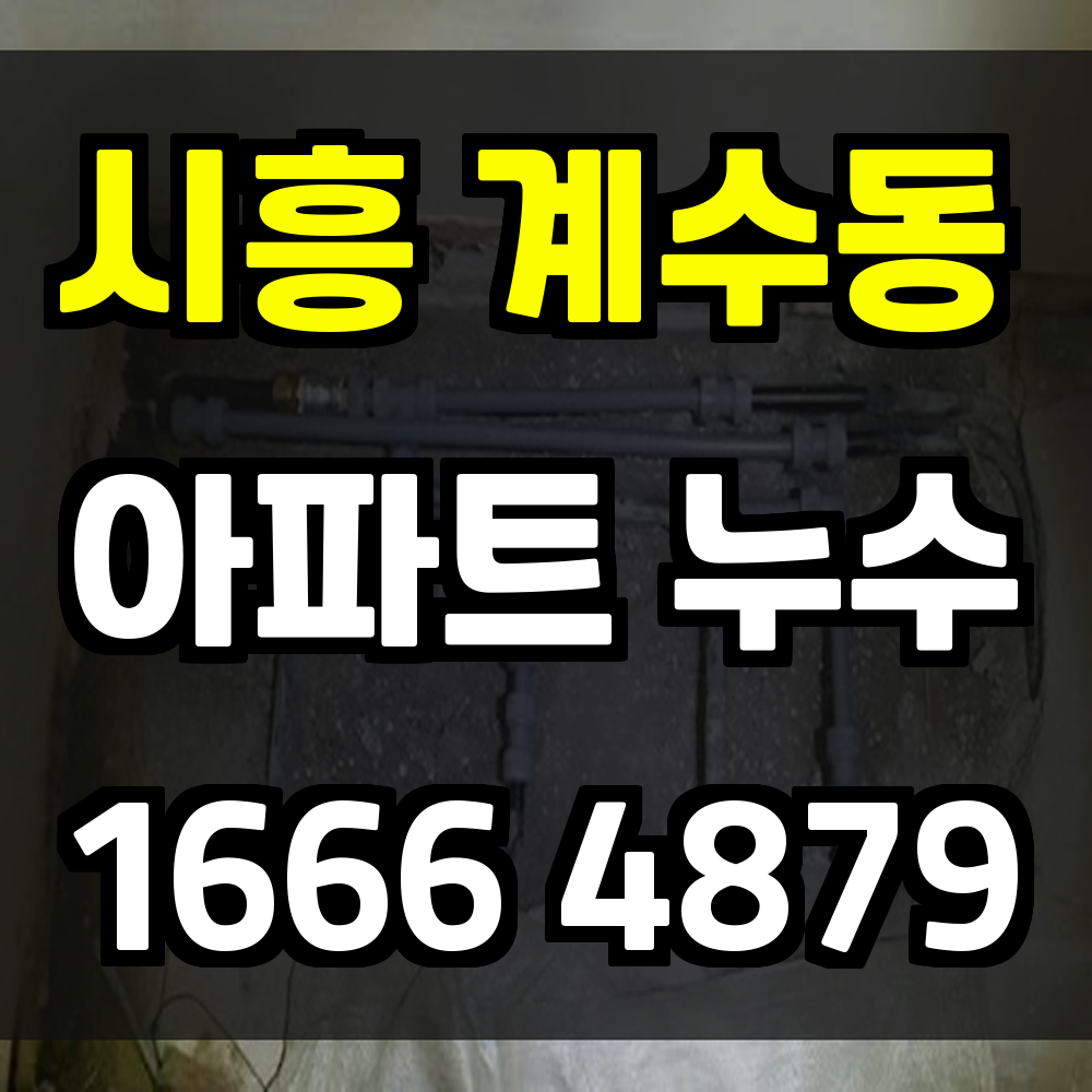 시흥 계수동 아파트 누수탐지 보이지 않는 물길도 정밀하게 찾아냅니다