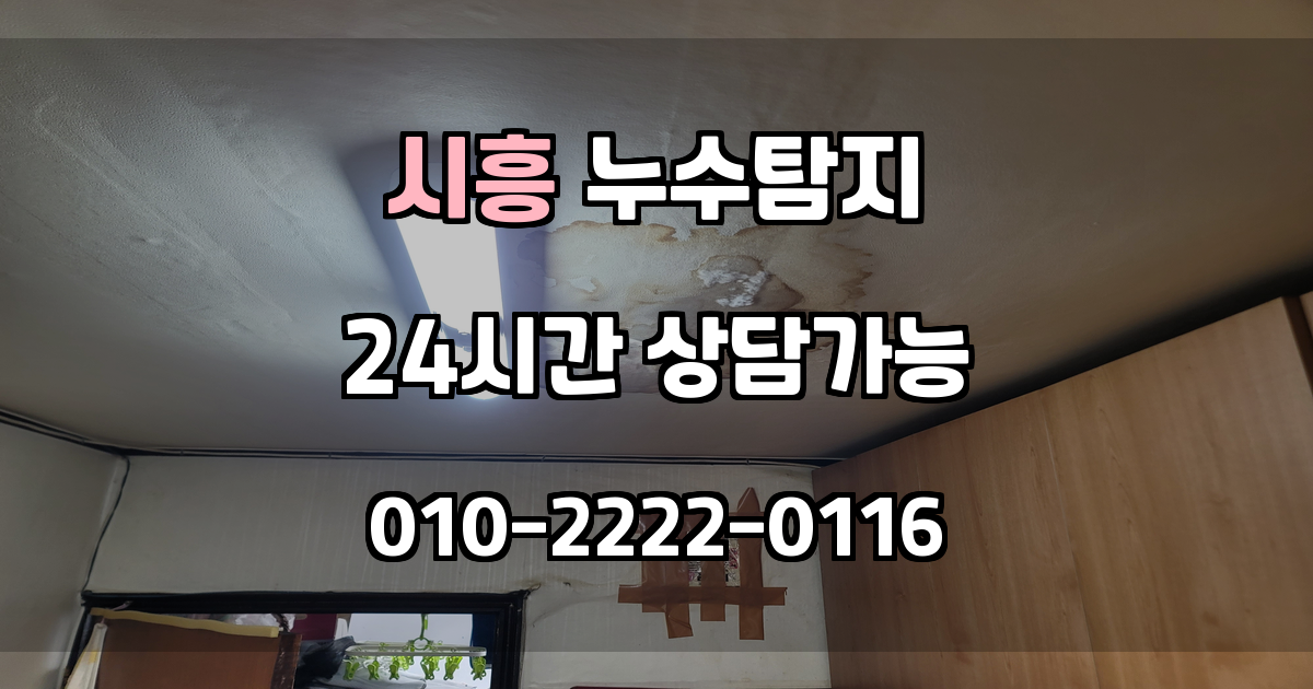 시흥누수탐지 서비스 지역