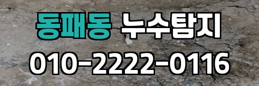 동패동 누수탐지 비용