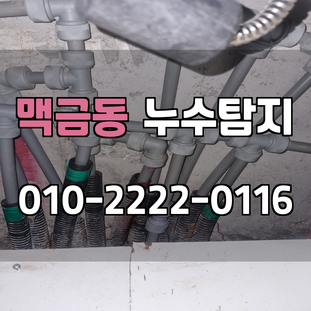 맥금동 누수탐지 서비스 지역