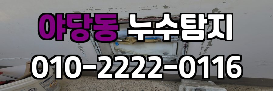 야당동 누수탐지 비용