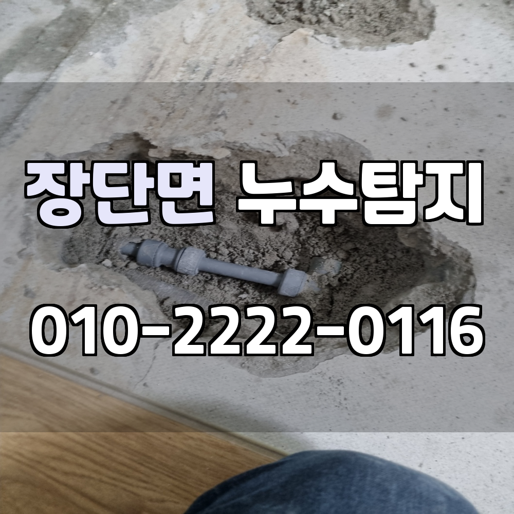 장단면 누수탐지 서비스 지역