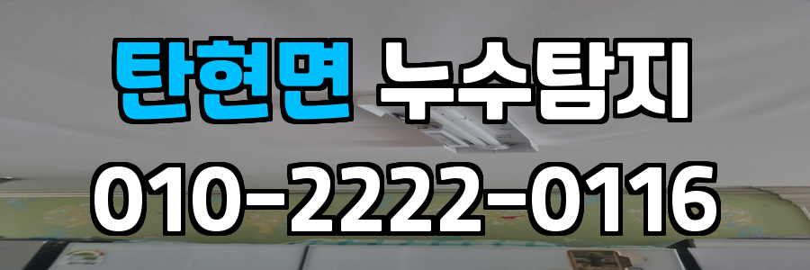 탄현면 누수탐지 비용