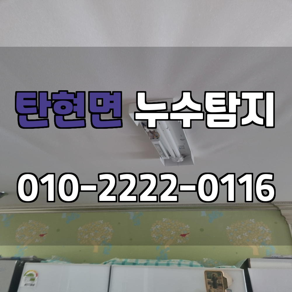 탄현면 누수탐지 서비스 지역