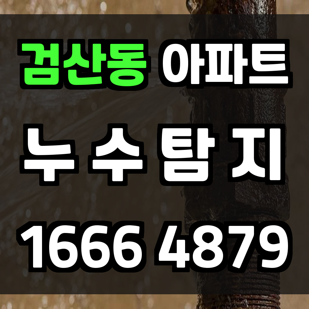 검산동 아파트 누수탐지 정확하고 빠른 진단 서비스