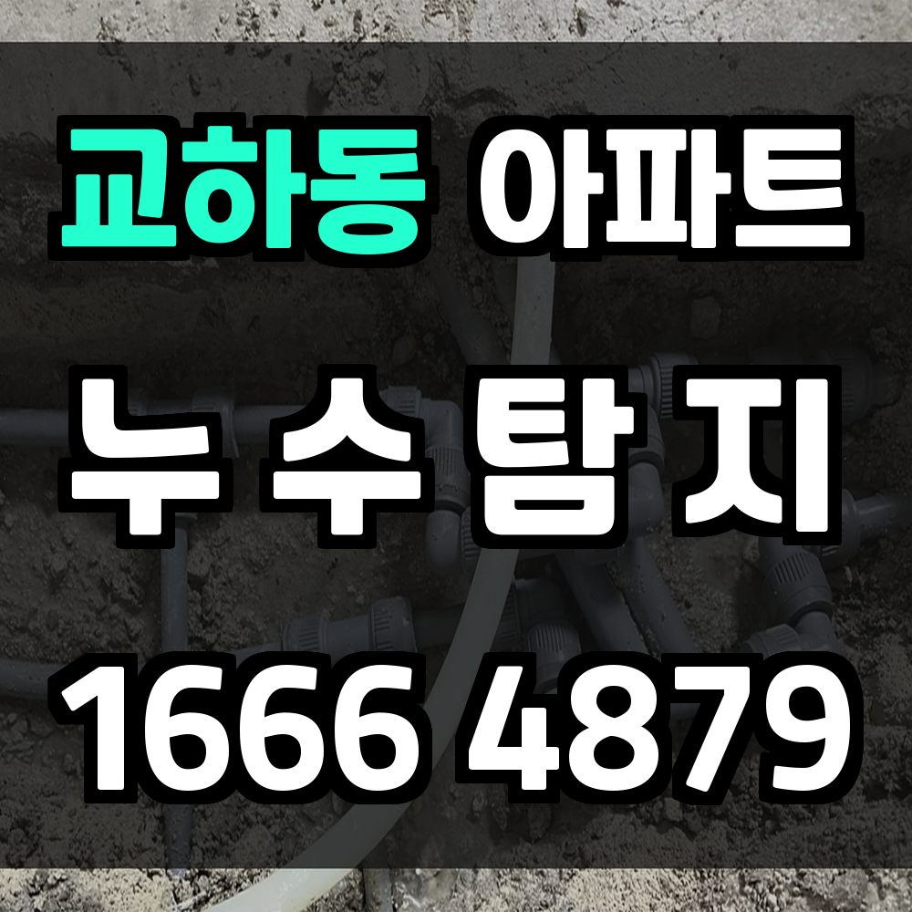 교하동 아파트 누수탐지 꼼꼼한 진단으로 안심되는 집