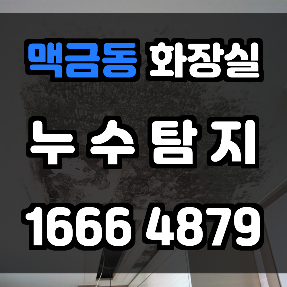 맥금동 화장실 누수