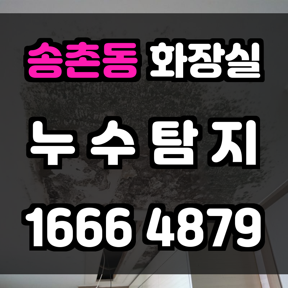송촌동 화장실 누수탐지 전문가의 정밀 진단과 신속한 해결
