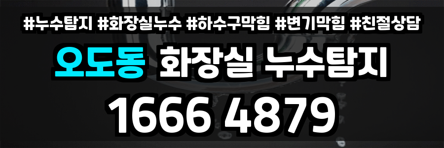 오도동 화장실 누수