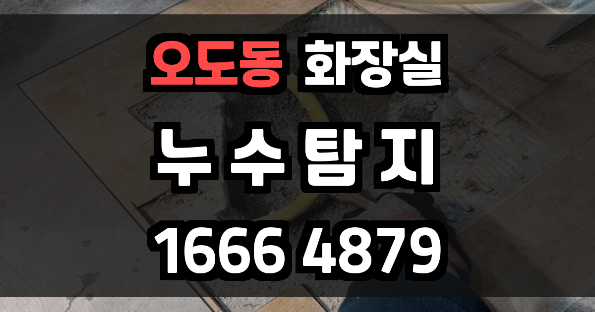 오도동 화장실 누수