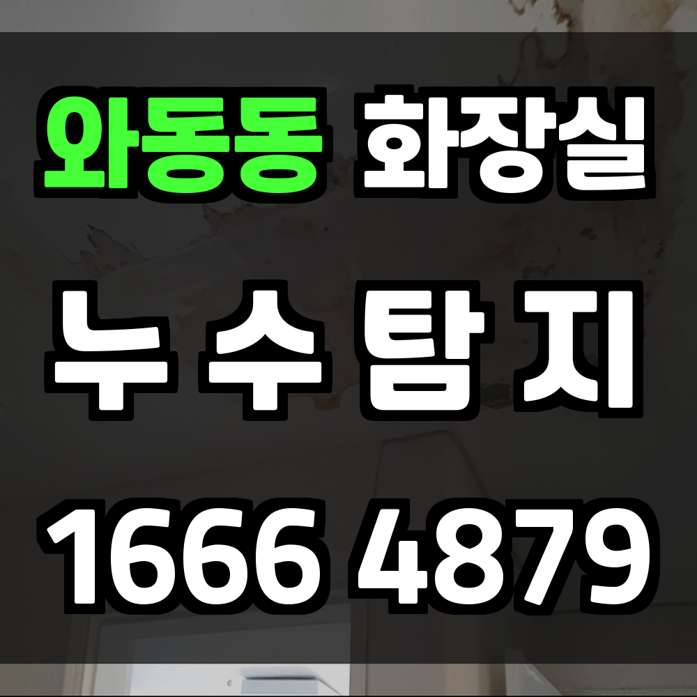 와동동 화장실 누수탐지로 주거 안전과 쾌적함 지키기