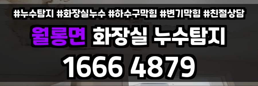월롱면 화장실 누수